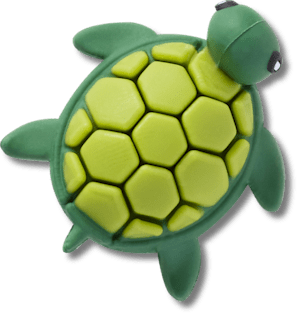 New 3D UV Changing Turtle