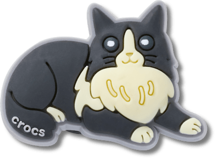 New Black Cat With Boots