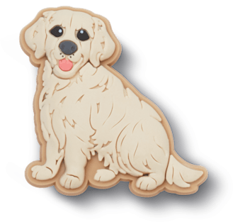 Golden Retriever Puppy