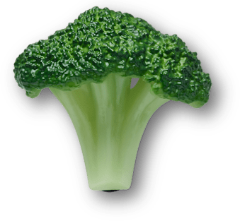 Realistic Broccoli