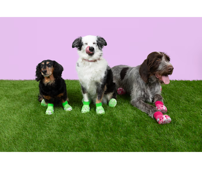 Crocs Pet Crocs Boots ALT110