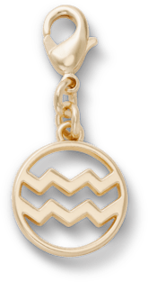 Aquarius Charm