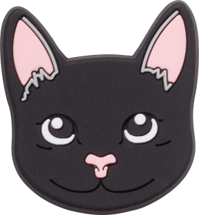 Black Cat