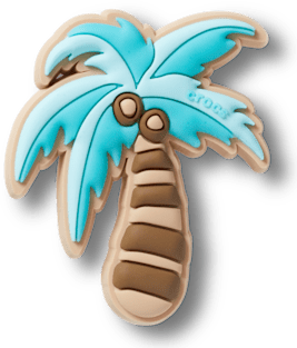 New Coconut Palm Tree