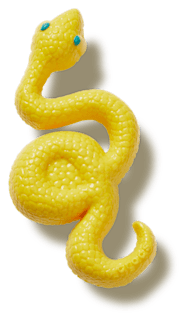 Dimensional Snake