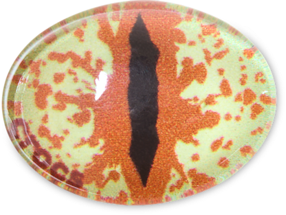 Hazel Animal Eye
