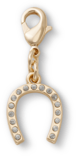Horseshoe Charm