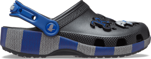 Kids' Harry Potter Ravenclaw Classic Clog - Multi