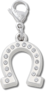 Lucky Silver Horseshoe Charm