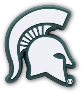 Michigan State University