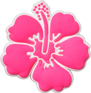 Pink Hibiscus