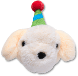 Record Your Own Sound Birthday