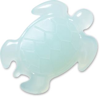 Light Blue Turtle