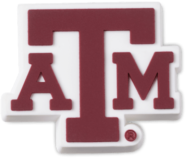 Texas AM University