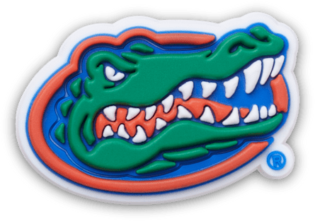 University of Florida