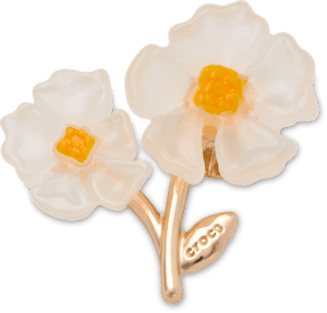 New White Floral Blossom